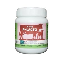 P-LACTO