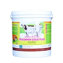 PRASHMIN GOLD PLUS