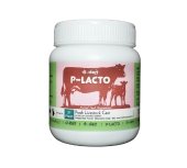 P-LACTO