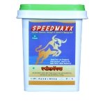 Bull Performance